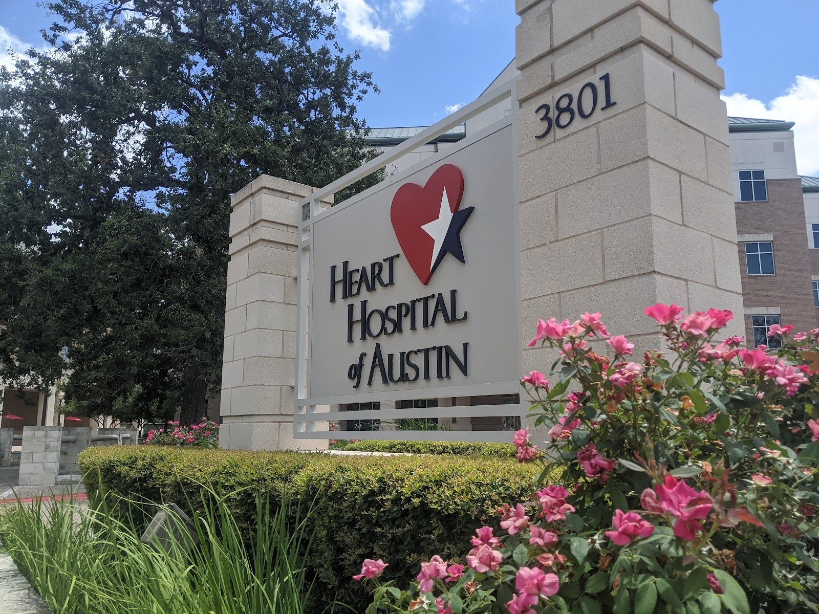 Austin Heart